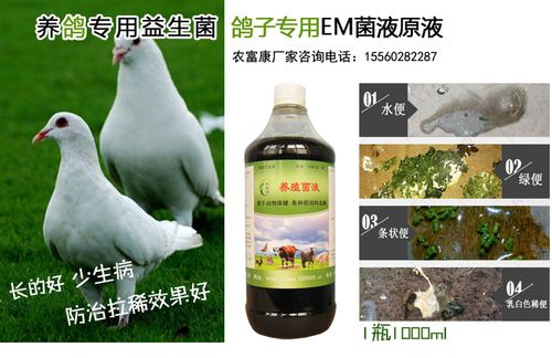 農富康鴿子養殖專用em益生菌1000ml/瓶 12瓶/箱 200元/箱 產品咨詢