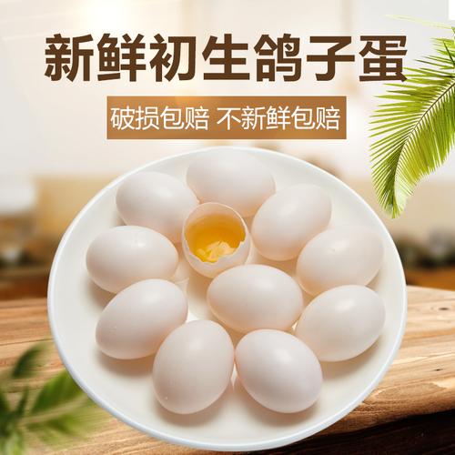 初生蛋鴿子蛋新鮮30枚裝包郵順豐農家散養初產鴿蛋頭窩蛋寶寶輔食
