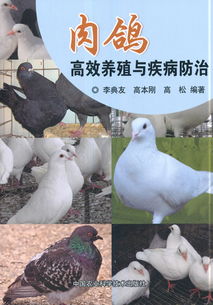 肉鴿高效養(yǎng)殖與疾病防治 ,9787511634757
