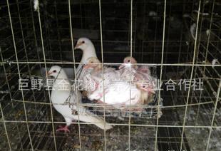 全部產品