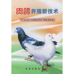 肉鴿養(yǎng)殖新技術
