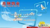 肉鴿 種鴿 乳鴿 鴿子種鴿 鴿籠 肉鴿種鴿養(yǎng)殖場(chǎng)[供應(yīng)]_禽類(lèi)_世界工廠網(wǎng)中國(guó)產(chǎn)品信息庫(kù)
